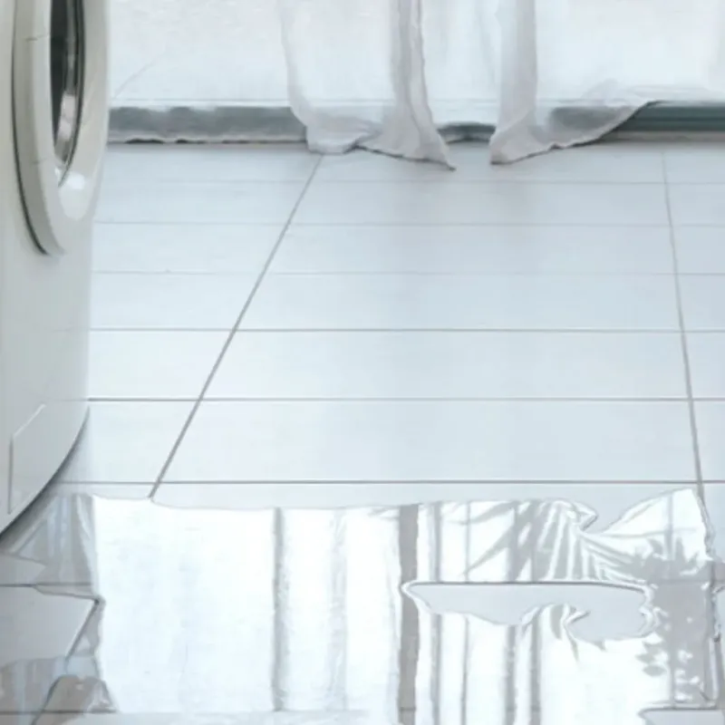 Appliance Leak Cleanup in Bonanza, GA