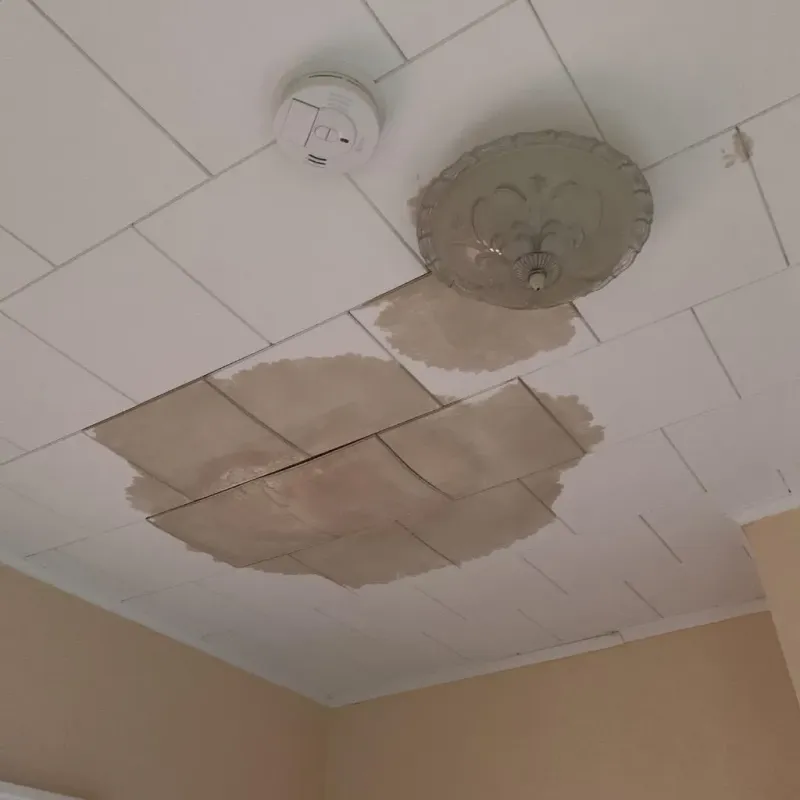 Ceiling Water Damage Repair in Bonanza, GA