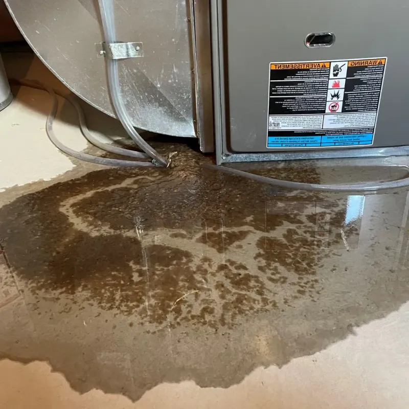 Pipe Burst and Leak Restoration in Bonanza, GA
